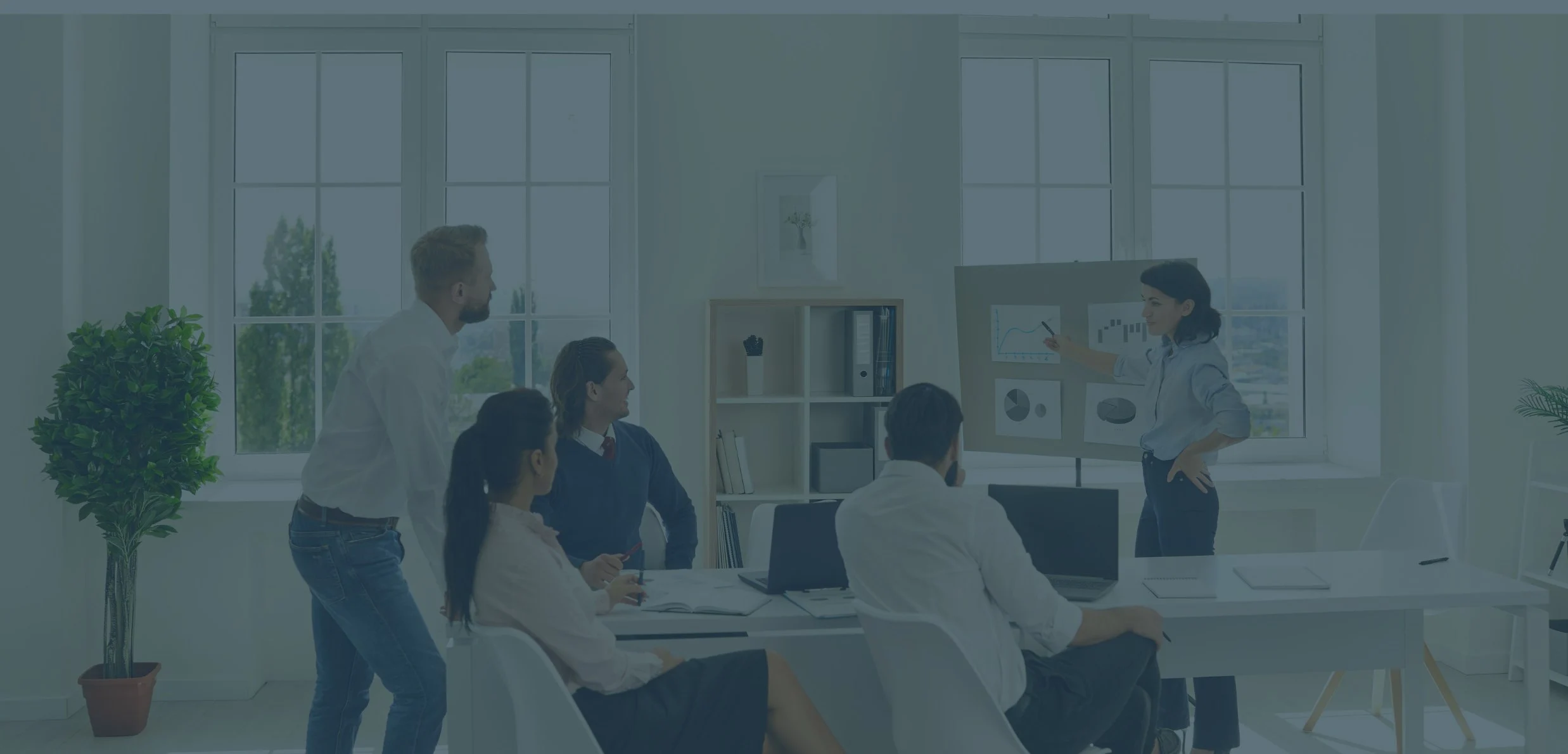 BECOME A PROFI TRAINING